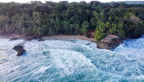 A coastal view with a rocky shoreline, palm trees, and waves crashing against the rocks.
