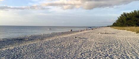 A beach with a sandy shore, a few people, and a line of trees in the background.
