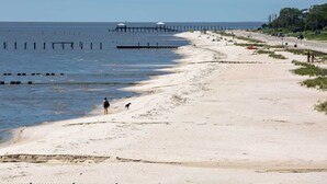 A beach with a pier extending into the water, a road parallel to the shore, and a few people walking along the beach. - 'Cloud 9 On The Coast' < 1 Mi to Beach! (Waveland)