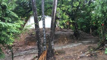 Área da propriedade