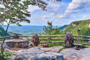Property grounds - Mountain Paradise | Hot Tub | Million Dollar View (Signal Mountain)