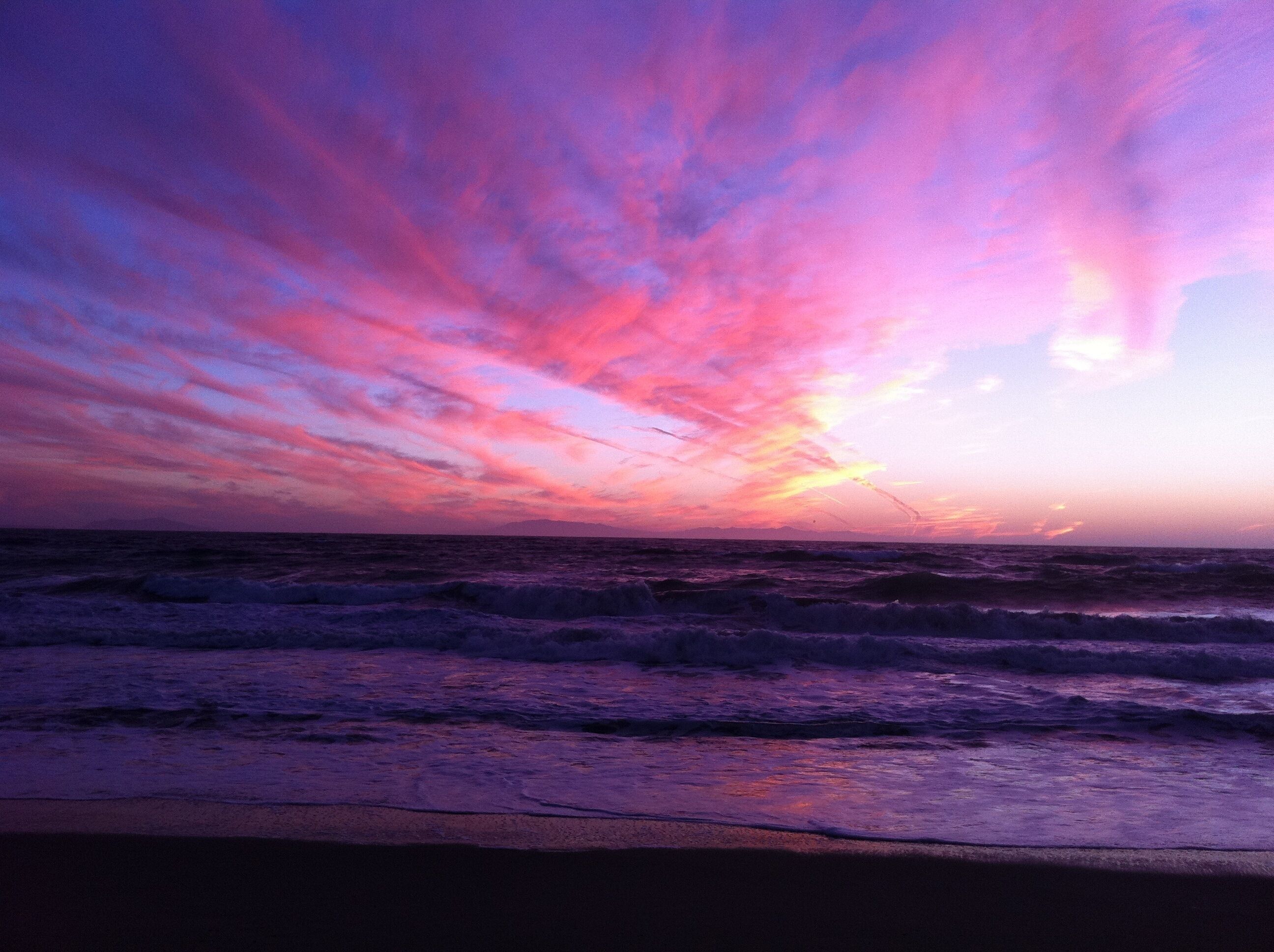 Beach Classic & Tropical Backyard Bliss!