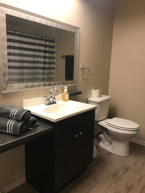 Combined shower/bathtub, hair dryer, towels, toilet paper