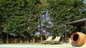 A swimming pool with clear blue water, surrounded by trees and a stone wall. There are two lounge chairs and a large terracotta pot near the pool.