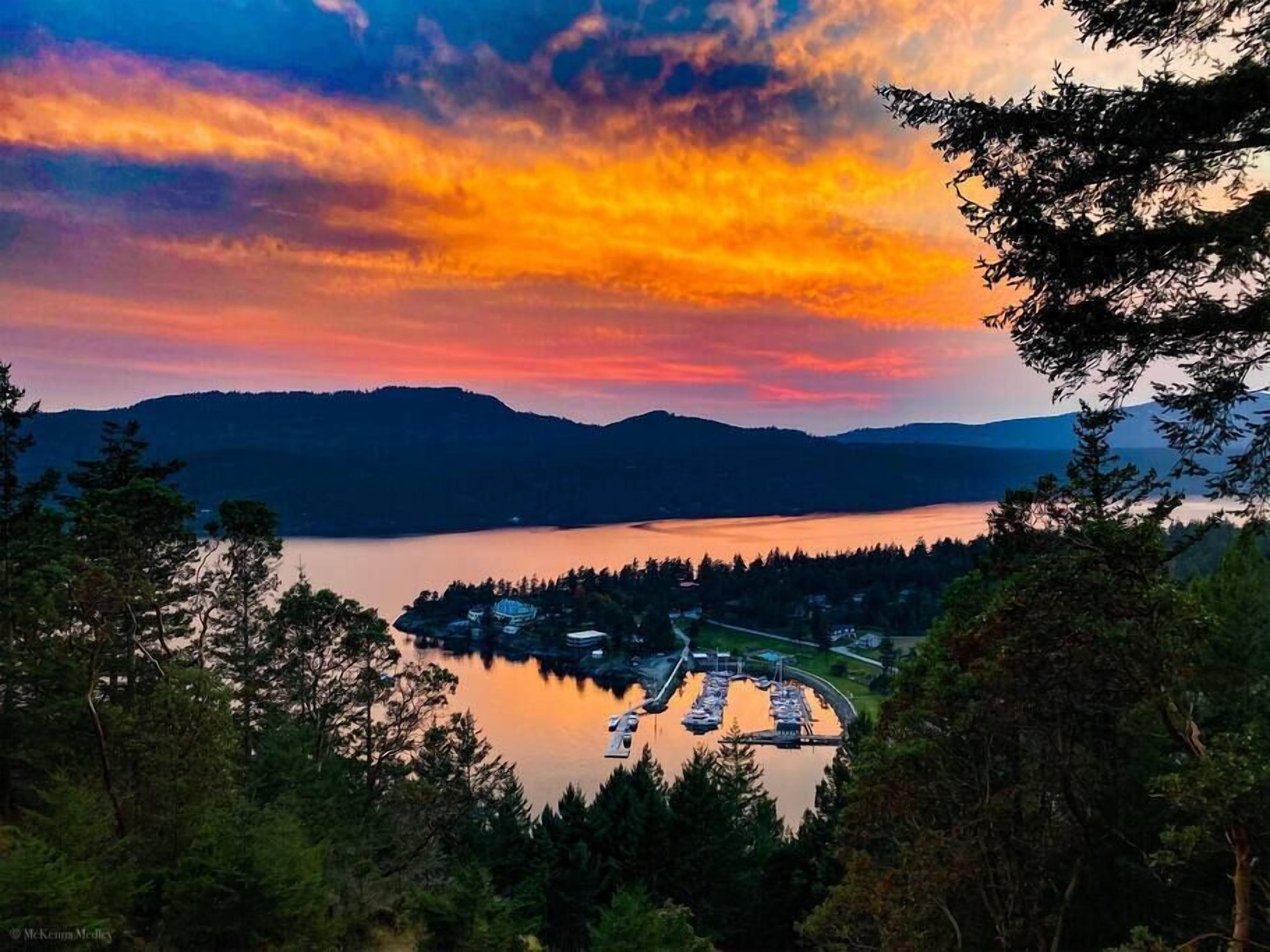 Vasu's Rose at Rosario Overlook