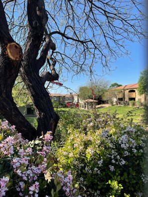 Enceinte de l’hébergement