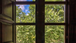 Une fenêtre donnant sur un paysage verdoyant et luxuriant, avec un ciel bleu dégagé.