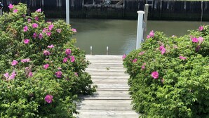 Une jetée en bois menant à un canal, entourée d’arbustes verdoyants et fleuris de roses.