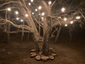 Área da propriedade