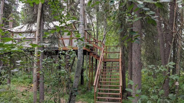 A wooden staircase leading up to a rustic cabin in a forested area.