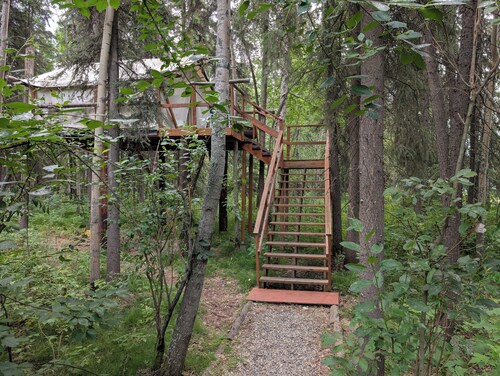 Sleep in the trees! A treehouse escape just 5 minutes from airport and downtown!