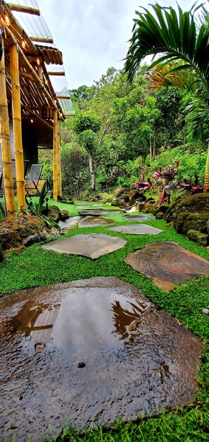 Property grounds - Canyon Casa: Direct Riverfront :20 Minutes to the SJO Airport ! (Brasil De Mora)