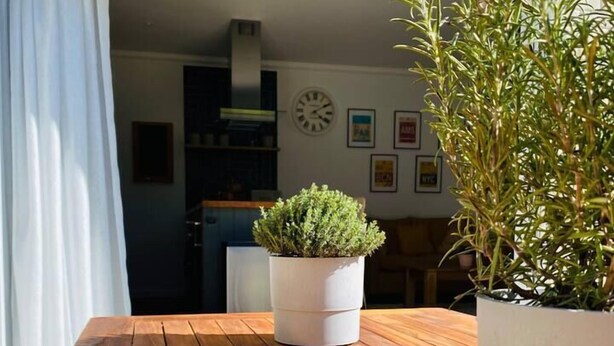 A wooden table with a potted plant in the center, a white curtain, and a kitchen area in the background. - Luxury Apartment-Golden Triangle, Parking & Garden (Norwich)