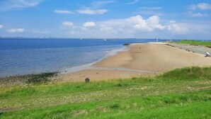 Un paisaje costero con una playa arenosa, zonas verdes y un cielo azul despejado.