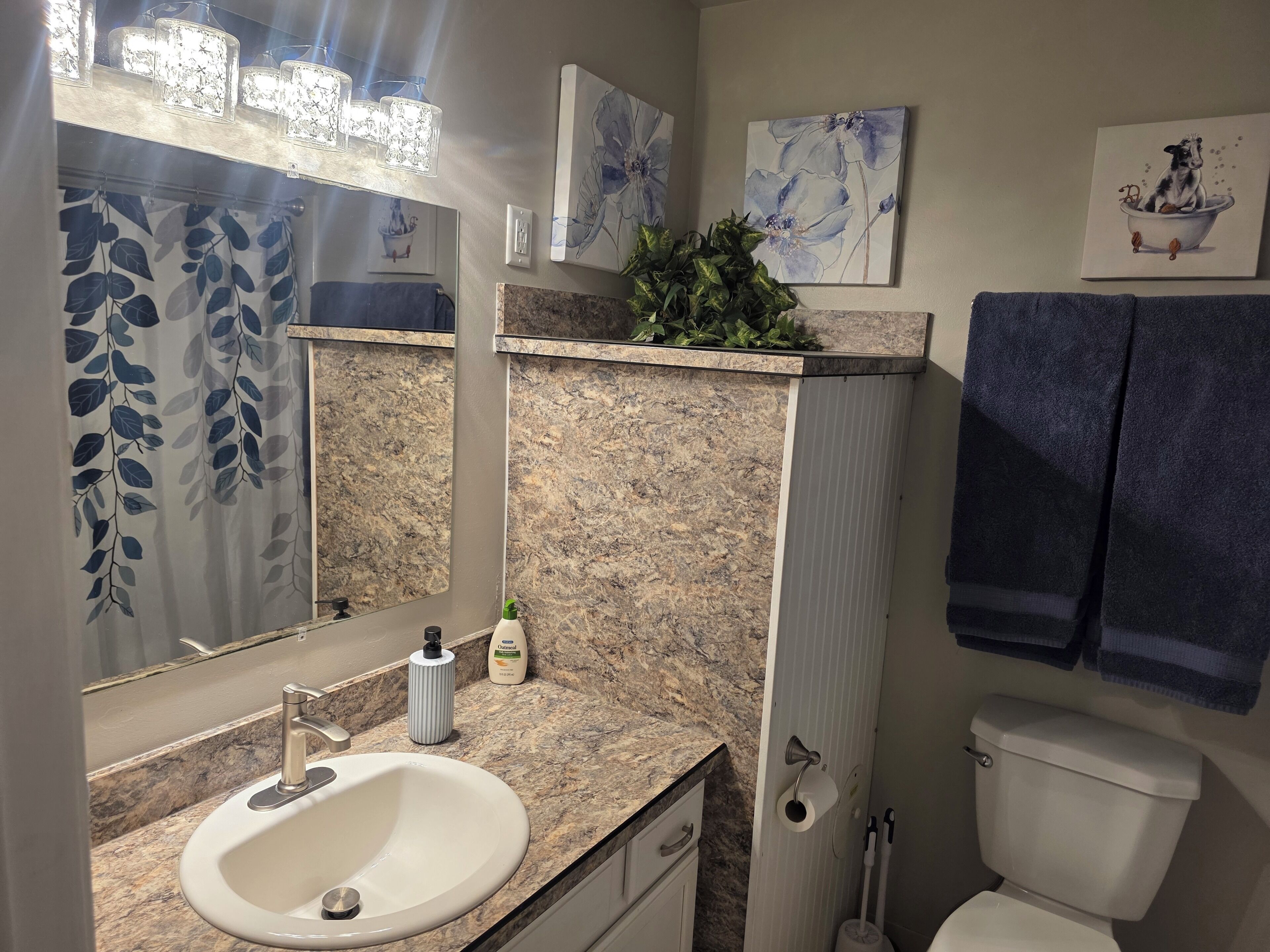 Combined shower/bathtub, hair dryer, towels, soap