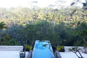 Outdoor pool - Sandhya Villa Ubud (Payangan)