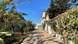 Una calle estrecha bordeada de árboles y edificios, que conduce a un portón verde.