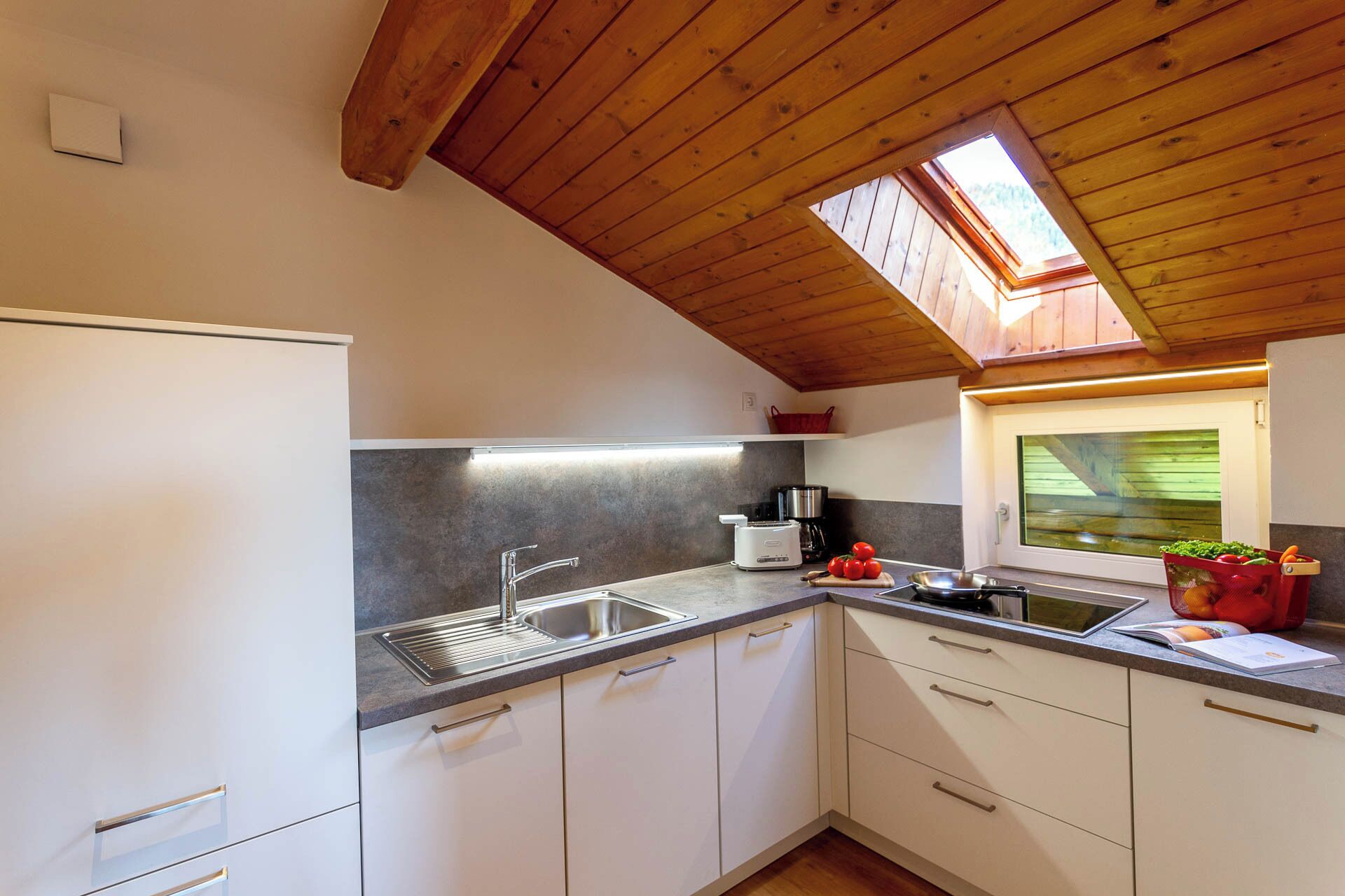 Kühlschrank, Herdplatte, Geschirrspüler