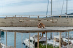 Ein Vogel auf einer Geländer sitzt, im Hintergrund sind Boote zu sehen.