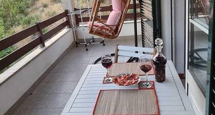 Casa na Serra, sabugueiro
