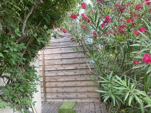Ein hölzernes Tor führt zu einem Garten mit verschiedenen Pflanzen und Blumen.
