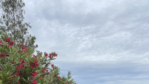 施設の敷地