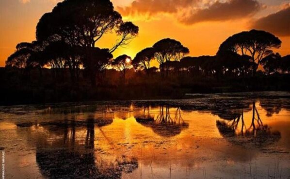 Alberca al aire libre 