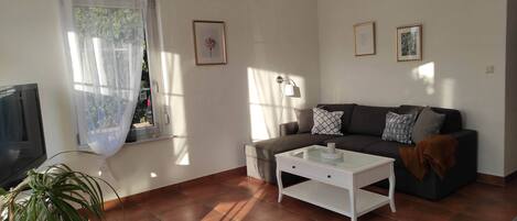 Televisión y libros