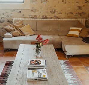 Smart TV, chimenea y libros