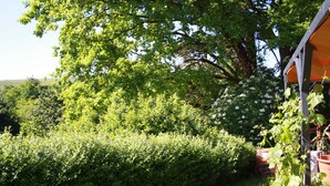 A garden with dense foliage, a large tree, and a structure with orange awnings. - 2 Zimmer FeWo mit Außenpool und Sauna (Sulzfeld am Main)