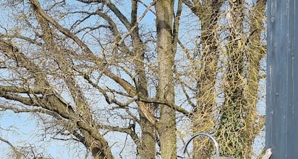 2 Zimmer FeWo mit Außenpool und Sauna