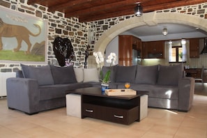 Family House | Living area | Flat-screen TV, fireplace
