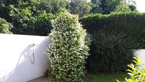 Une terrasse en bois avec un mur blanc et une plante en pot.