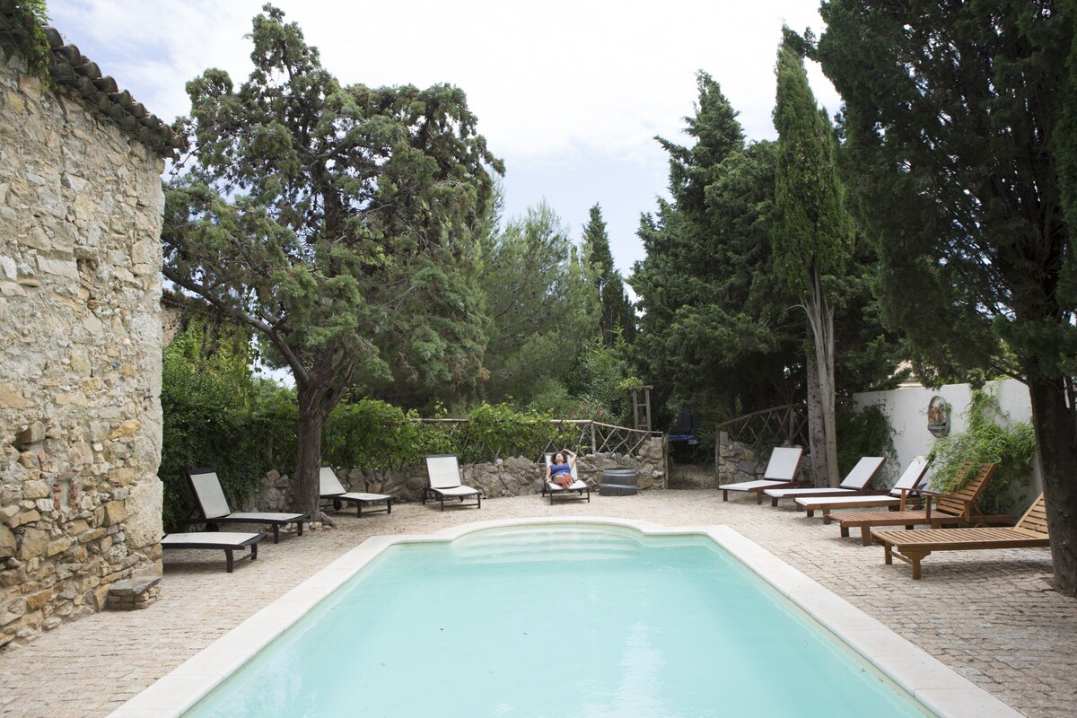 Imagen de perfil del propietario o de la propietaria