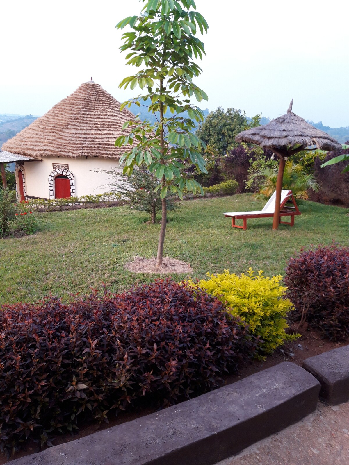 Image de profil de l’hôte