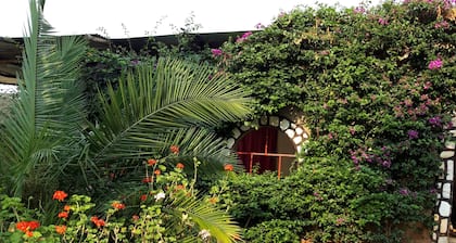 Maison Traditionnelle Pour se Resourcer au Calme