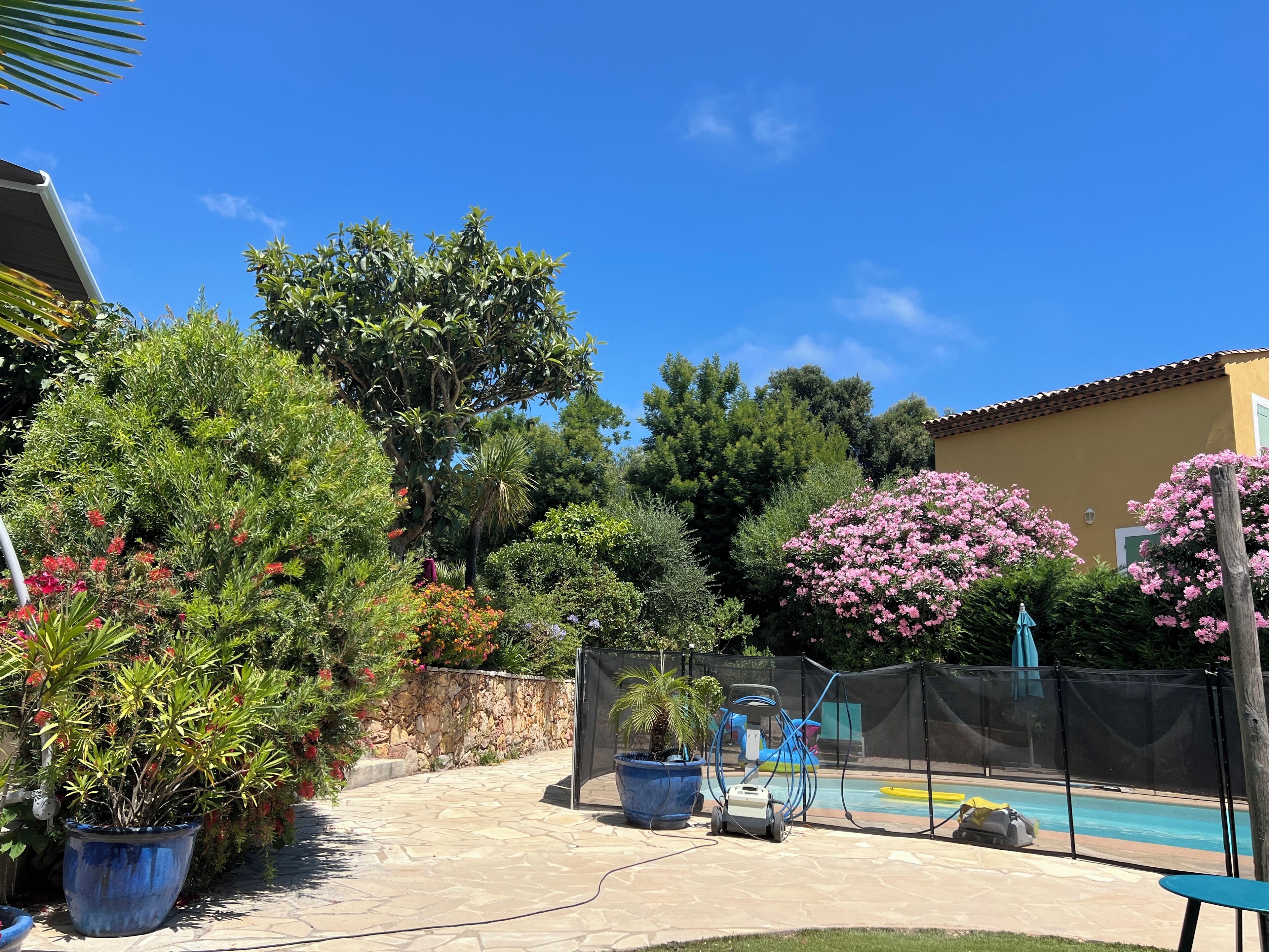 Un jardin à l’arrière de la maison, avec une piscine, entouré de différentes plantes en pot et d’arbres.