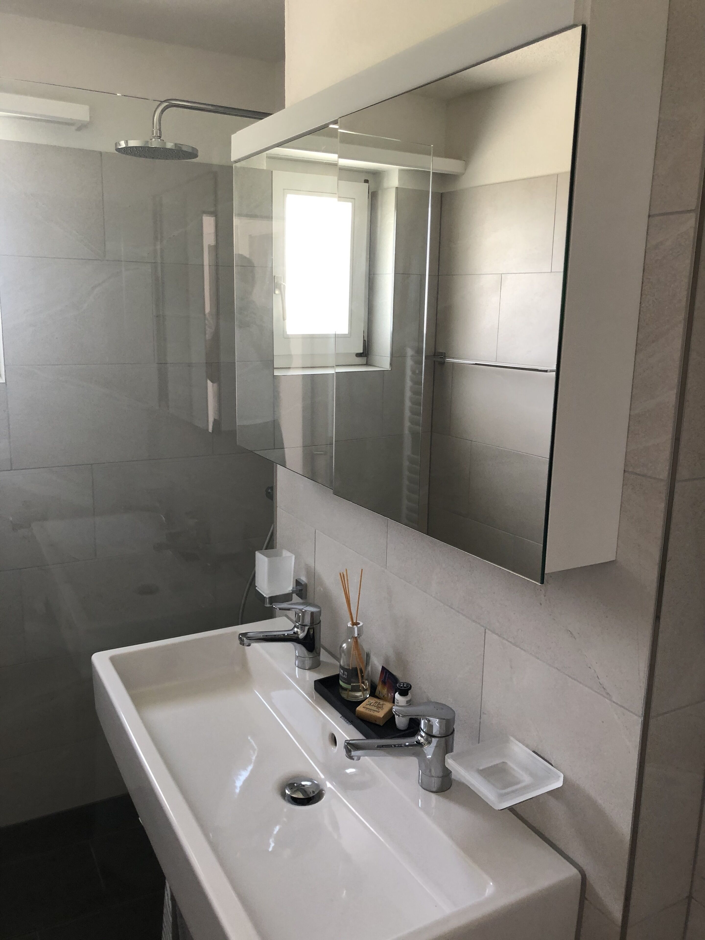 Apartment | Bathroom | Shower, hair dryer, towels