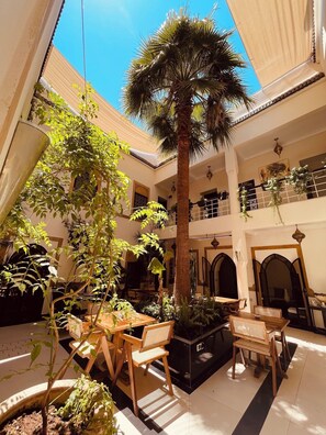 A multi-level courtyard with indoor seating, a palm tree, and potted plants.
