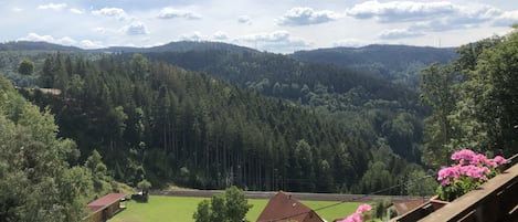 A rural landscape with a view of a valley, houses, and a wooden fence with flowers.