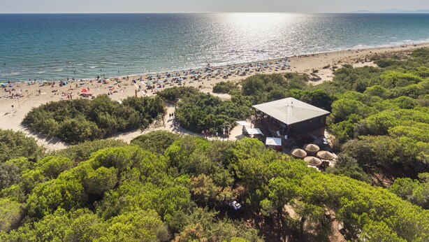 Ein Strand mit einem Gebäude, umgeben von Bäumen.