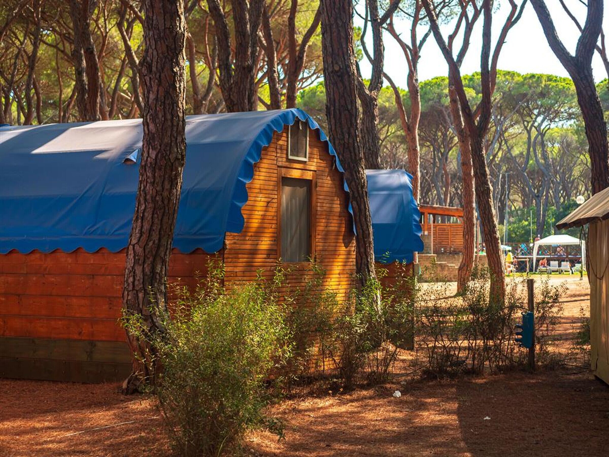 Una cabaña de madera pequeña con techo azul, rodeada de árboles.