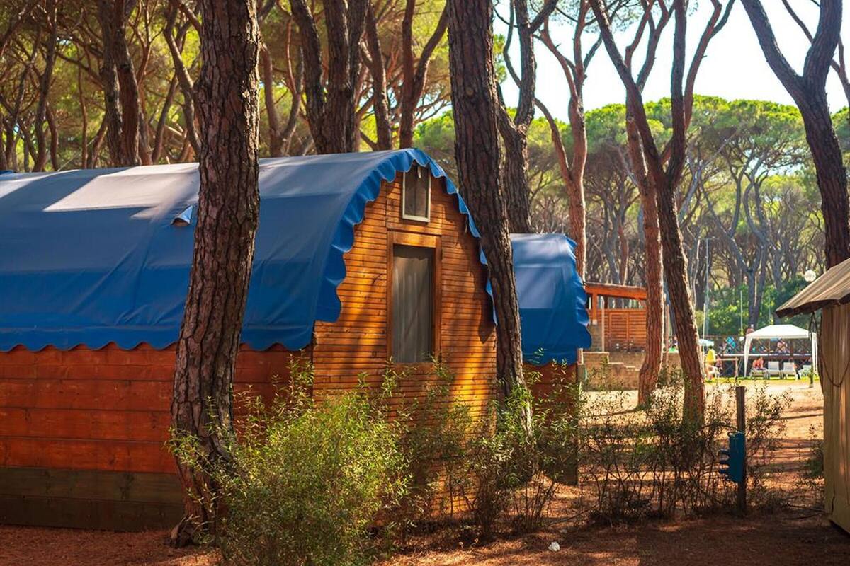 Una cabaña de madera pequeña con techo azul, rodeada de árboles.