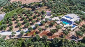 Vista aérea de um imóvel com casa, piscina e vinhedo.
