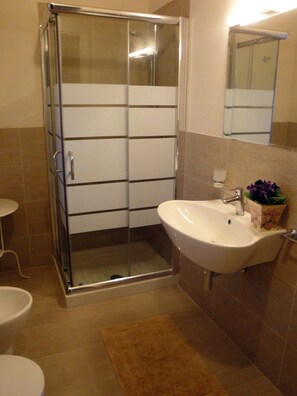 Shower, hair dryer, bidet, towels