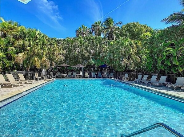 Piscine chauffée