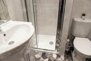 A bathroom with a glass-enclosed shower, a white sink, and a toilet.