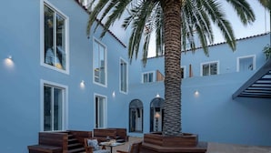 Um edifício moderno com grandes janelas, uma palmeira e área de estar ao ar livre.