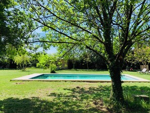 Una piscina rectangular envoltada per un prat verdós, amb arbres i una construcció de fusta al fons.