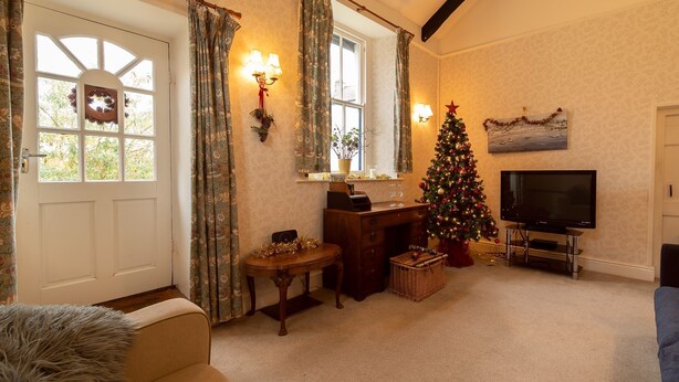 Una sala de estar acogedora con chimenea, un árbol de Navidad y un televisor.